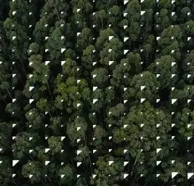 Reporte de sostenibilidad 2021